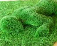 איך הוא הגיע לשם?