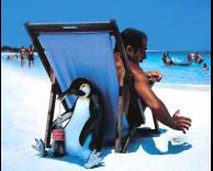 איפה הקולה?!