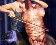 כלי נגינה חדש