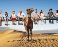 כולם לעלות...