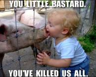 עכשיו הכל מובן...