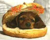 HOT DOG