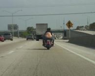 עד שיראו הכל