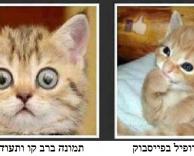 תמונה זהה