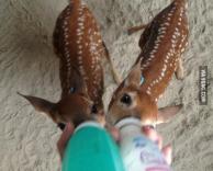 כל כך חמודים!