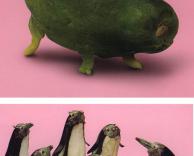 פיסול בירקות