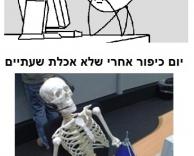 מדעי האדם