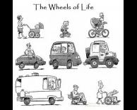 חיי גלגלים