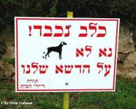 לא על הדשא שלנו!