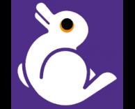 ברווז או ארנב?