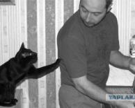 באמא'שך תן ביס