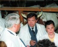 קרניים יפות