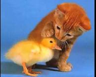 מסתדרים לא רע