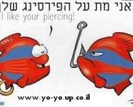 דגים מצחיקים