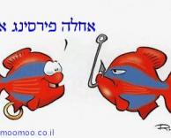 דג עם פירסינג