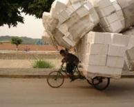 השליח המסור