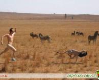 נמר, תחזיר לי את הבגדים!