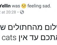 חתולים