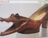 נעל מעור תנין