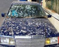 אף פעם אל תחנו מתחת לעצים