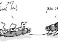 מה קורה אחי?