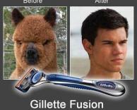 איך אתה נראה אחרי גילוח