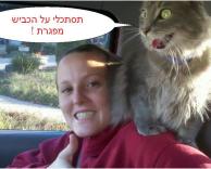 תסתכלי על הכבשי מפגרת!