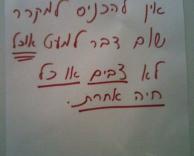 לא אוכלים צבים