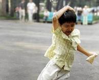 נקמת הציפורים