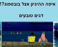הגיון??