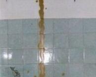 מקיא בשירותים