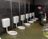 אינסטלטור, בהצלחה!