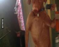 תמונת פרופיל ראשונה אנשים!