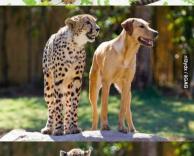 ידידות מופלאה