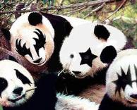 משחקנים אותה מגניבים