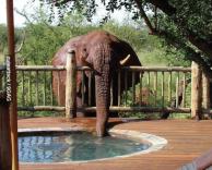 אני צמא קצת