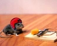 תמיד תהיה מוכן!