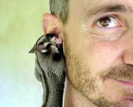 סודות בחברה