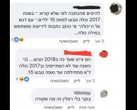 כולה