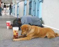 שותפים לעסק