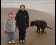 תמונה משפחתית