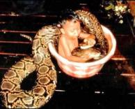 "צעצועים" לאמבטיה...