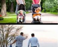 אמהות לעומת אבות