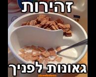 גאונות לפניך!