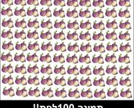 תמונה 100לפת...