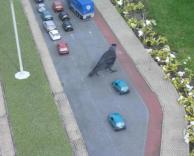 ציפור ענקית