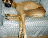 מאמי, תעביר לי את השלט...