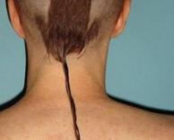 תספורת עכבר