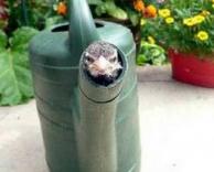 מה הוא עושה שם?