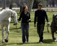 מה הכלב ומה הסוס?